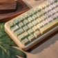 Spring Outing 104+26 PBT Keycaps Set Backlit / Opaque Cherry / QX3 Profile for MX Switches Mechanical Gaming Keyboard